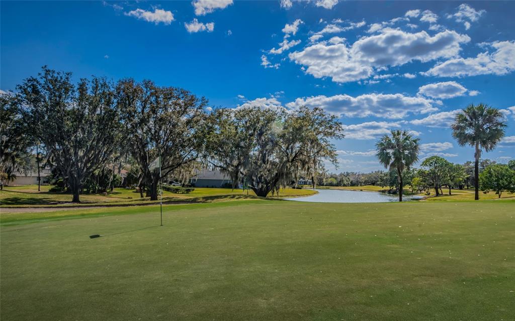 A golf course putting green overlooks a small pond surrounded by trees and palm trees — 3254 STONEBRIDGE TRAIL, VALRICO, FL