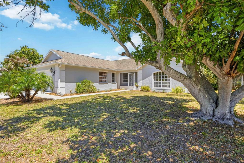 A single-story house with a light-colored exterior, a shingled roof, and a large front tree — 4851 HAMLETS GROVE DRIVE, SARASOTA, FL