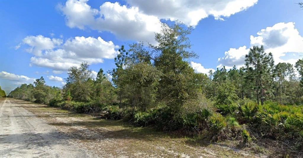 A dirt road runs alongside a wooded lot with pine trees and low-lying palmetto bushes — ALBA DRIVE, INDIAN LAKE ESTATES, FL