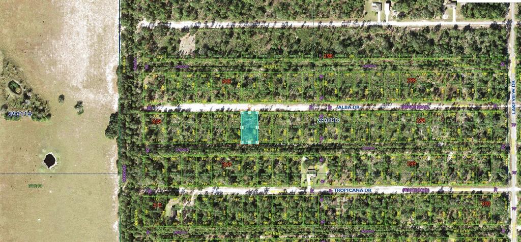 This is an aerial map showing a highlighted rectangular land parcel between two residential streets — ALBA DRIVE, INDIAN LAKE ESTATES, FL
