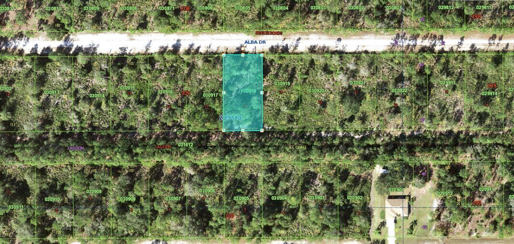 This is a satellite map view showing a highlighted rectangular plot of land — ALBA DRIVE, INDIAN LAKE ESTATES, FL