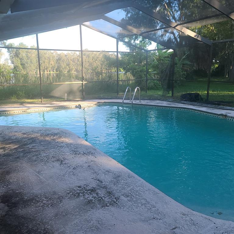 2400 PINE HAMMOCK, CLEARWATER, FL — photo 3 of 4