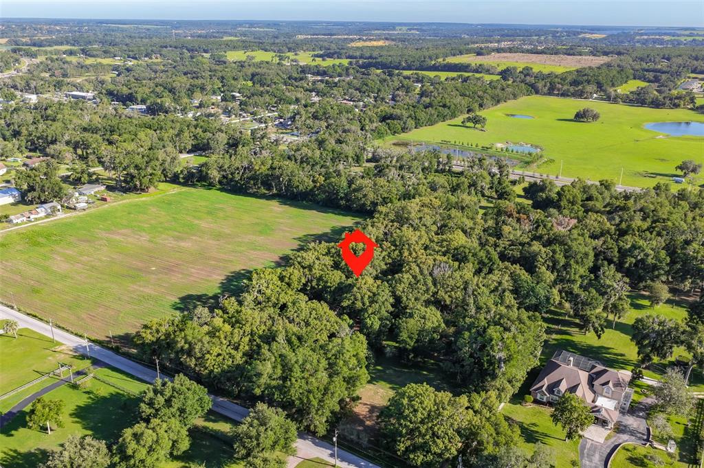 An aerial view shows a wooded lot marked by a red pin near a field — 36625 LAKE PASADENA ROAD, DADE CITY, FL
