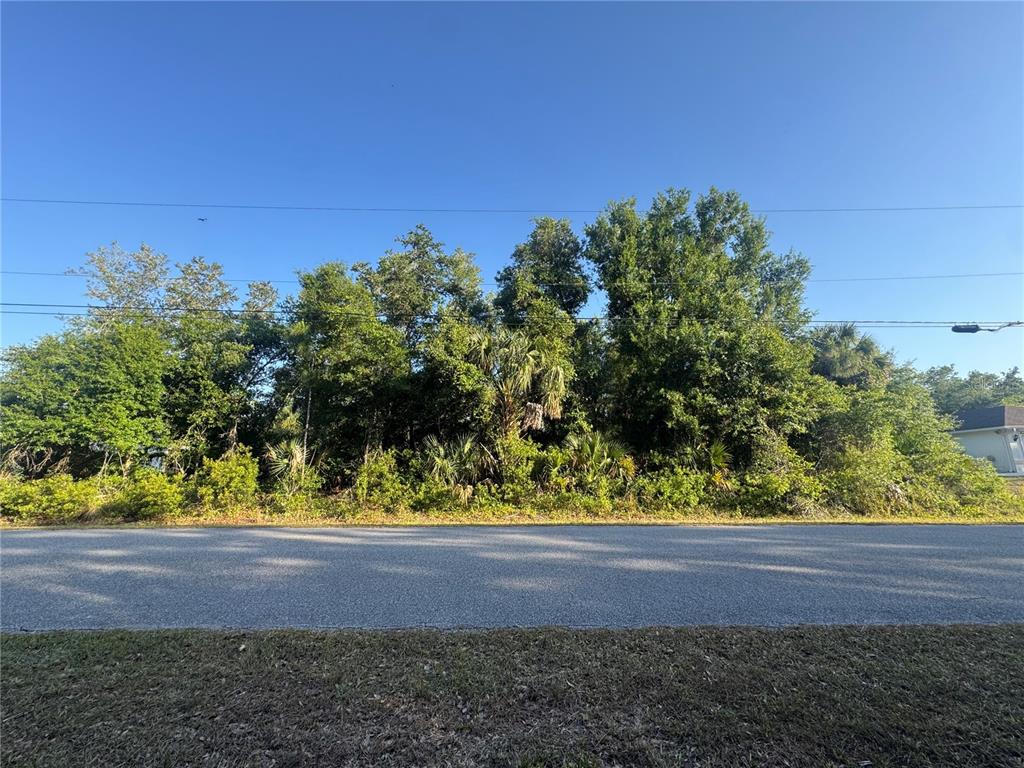 A paved road runs in front of a densely wooded, undeveloped residential lot — PETAL ROAD, NORTH PORT, FL