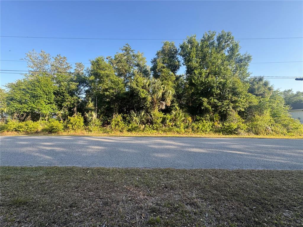 A paved road runs in front of a densely wooded, undeveloped residential lot — PETAL ROAD, NORTH PORT, FL