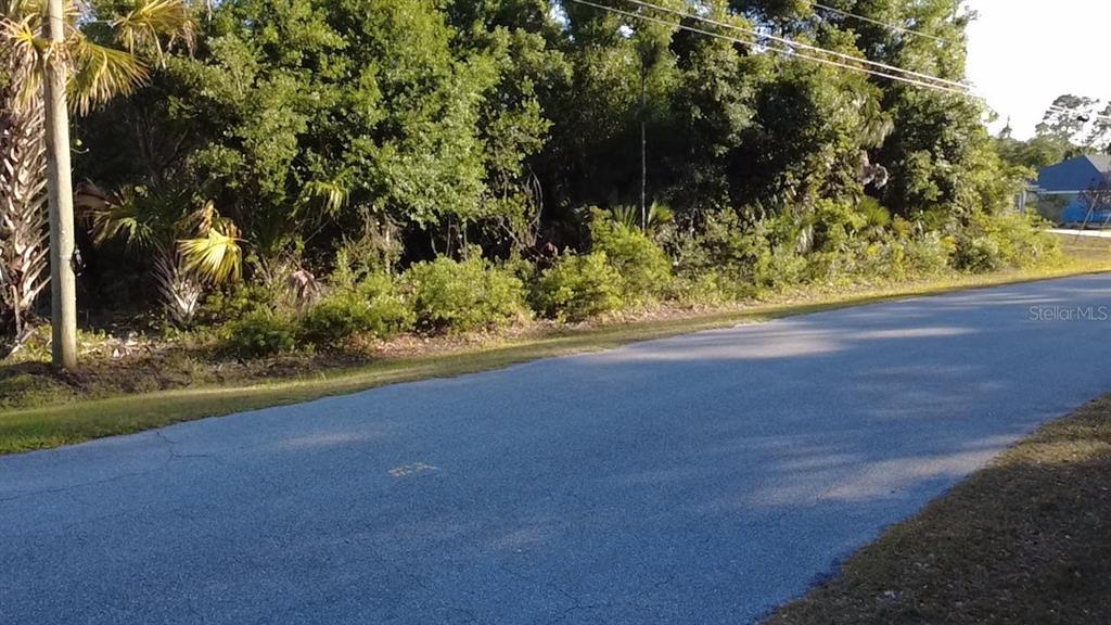 A paved road runs alongside a densely wooded lot with a utility pole — PETAL ROAD, NORTH PORT, FL