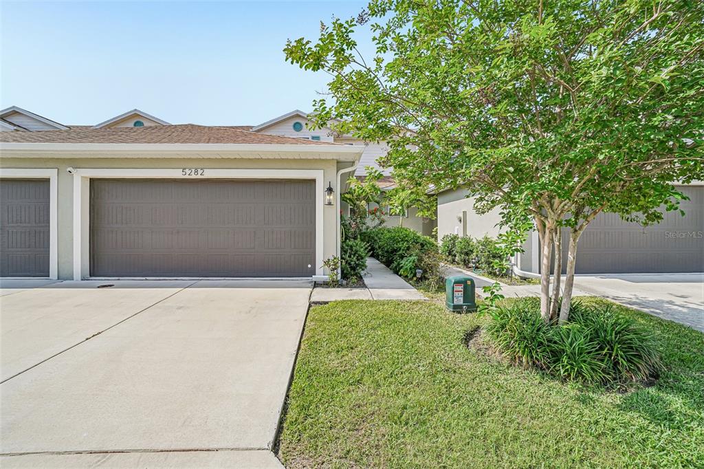 A single-story residential building with a brown garage door and a tree in the yard — 5282 NEIL DRIVE, ST PETERSBURG, FL