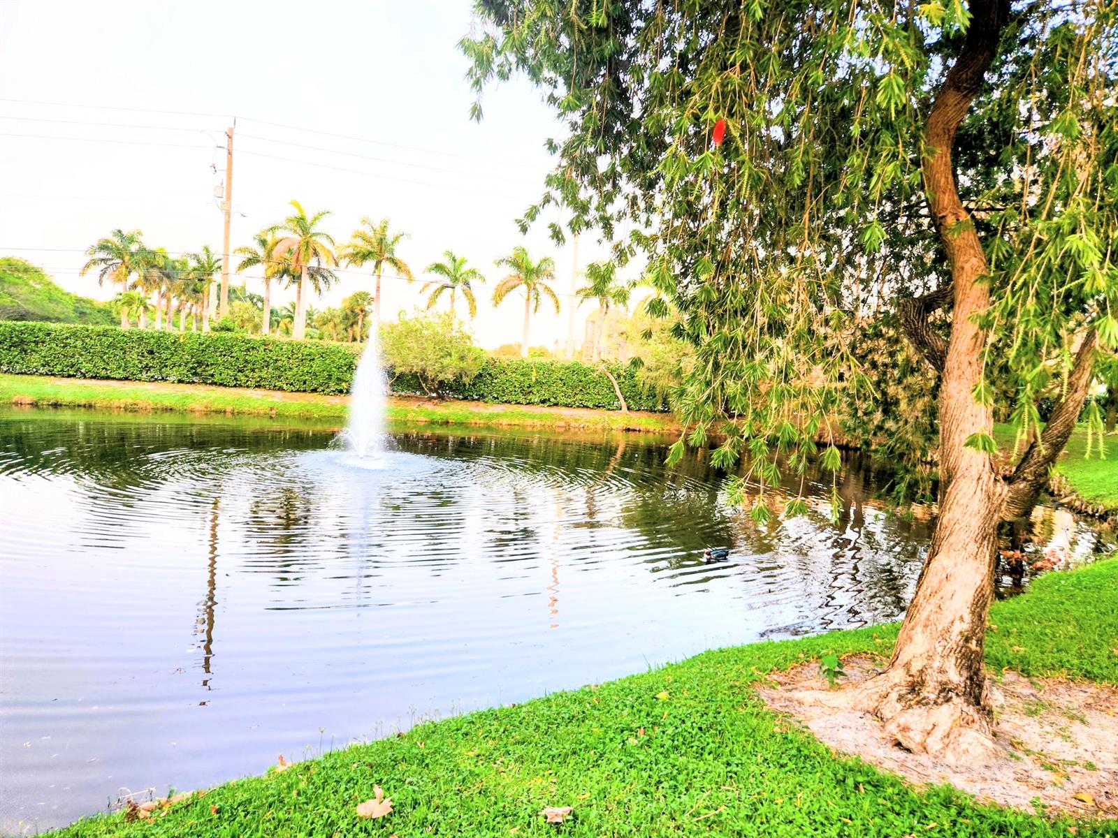 A pond with a fountain is surrounded by palm trees and a manicured green lawn — 1020 Crystal Way # C, Delray Beach FL 33444, DELRAY BEACH, FL