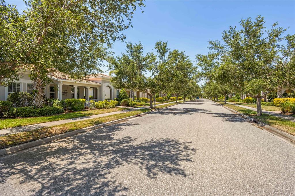 A quiet residential street lined with mature trees and single-story homes under a clear sky — 1585 DORGALI DRIVE, SARASOTA, FL