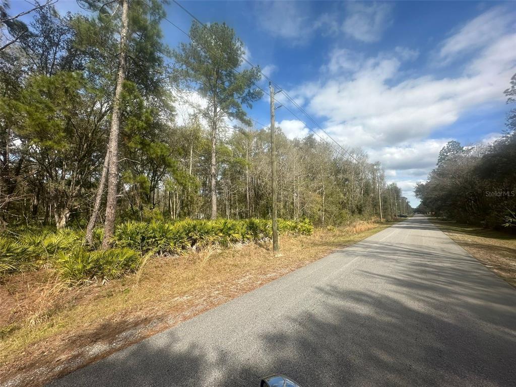 A paved road runs alongside a wooded lot with tall trees and low-lying palmetto bushes — 4840 FLAGLER ESTATES BOULEVARD, HASTINGS, FL