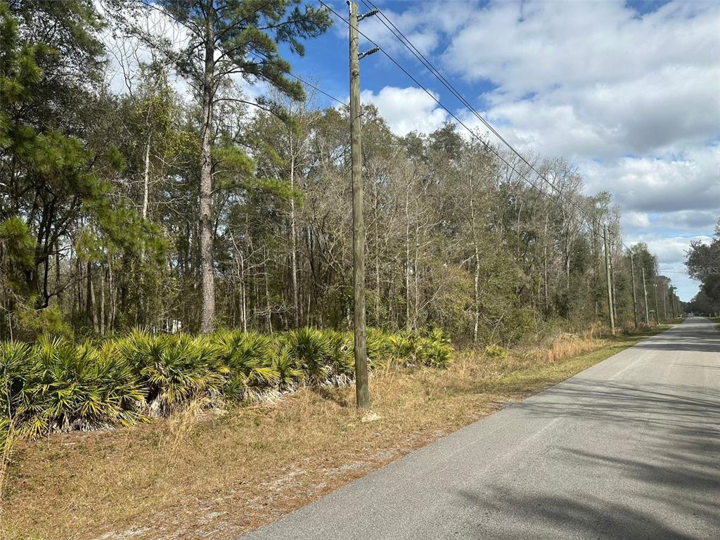 A paved road runs alongside a wooded lot with palmetto bushes and utility poles — 4840 FLAGLER ESTATES BOULEVARD, HASTINGS, FL
