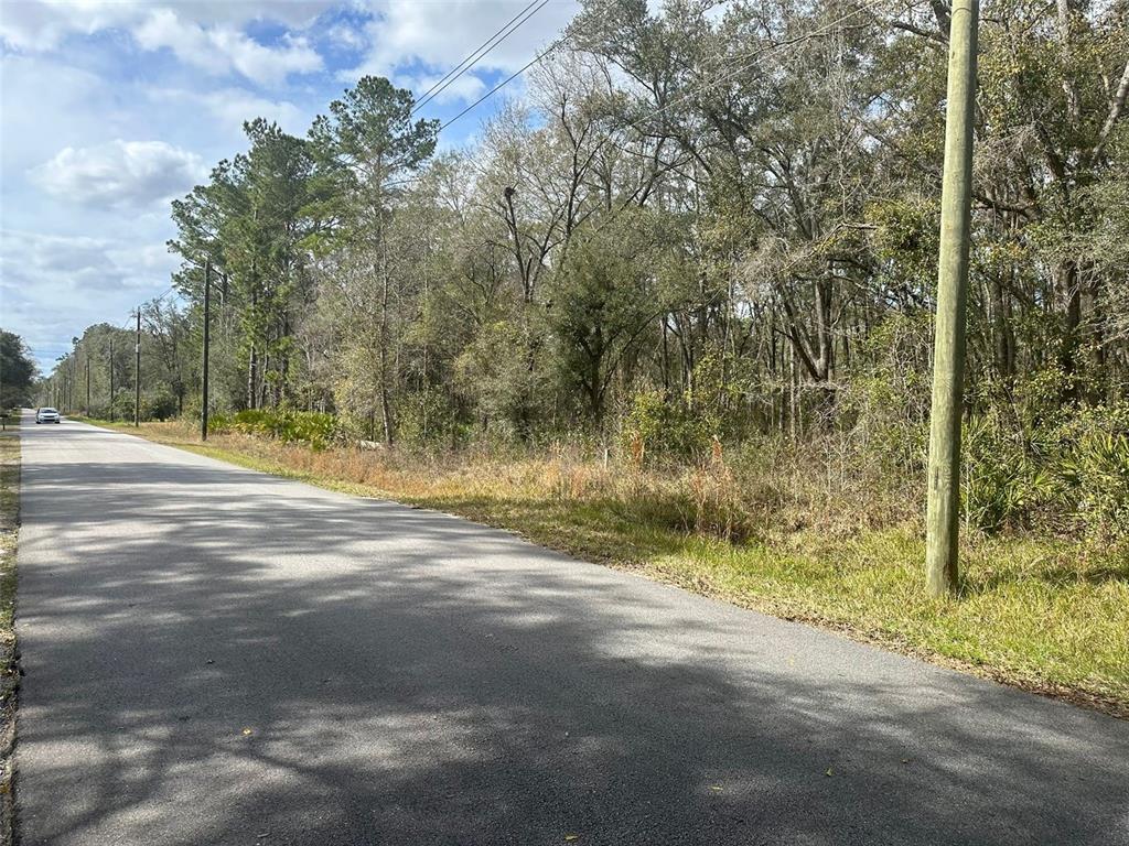 A paved road runs alongside a wooded lot with a utility pole in the foreground — 4840 FLAGLER ESTATES BOULEVARD, HASTINGS, FL