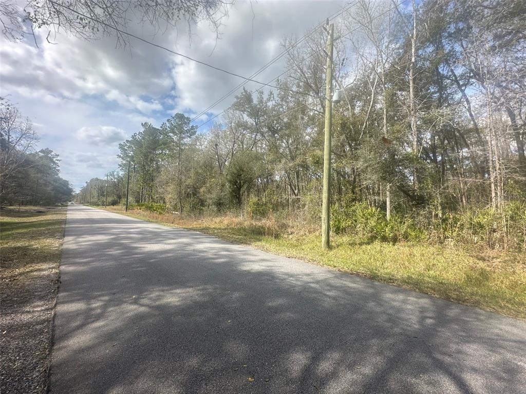 A paved road runs alongside a wooded lot with a utility pole under a cloudy sky — 4840 FLAGLER ESTATES BOULEVARD, HASTINGS, FL