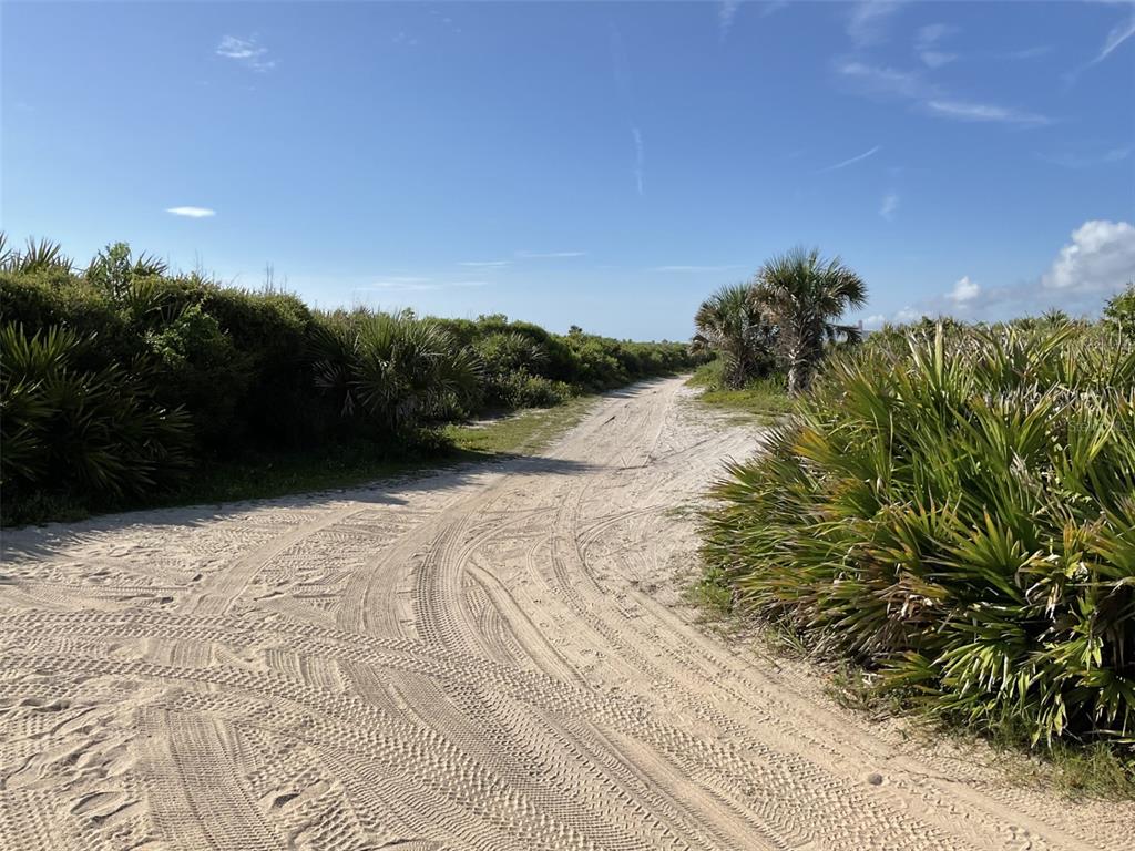 A sandy path winds through coastal vegetation under a clear blue sky — 11 SWEET BAY DRIVE, PALM COAST, FL