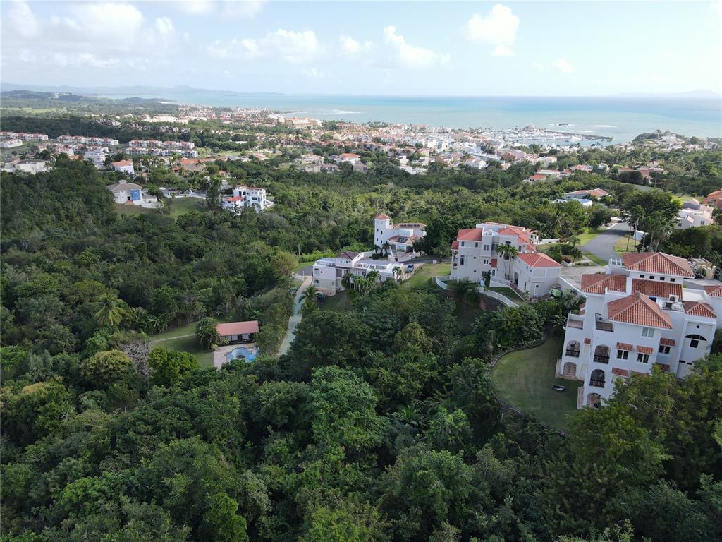 An aerial view shows several large villas nestled in a lush, forested hillside near the coast — 4 PORT ROAD UNIT 4, HUMACAO, PR