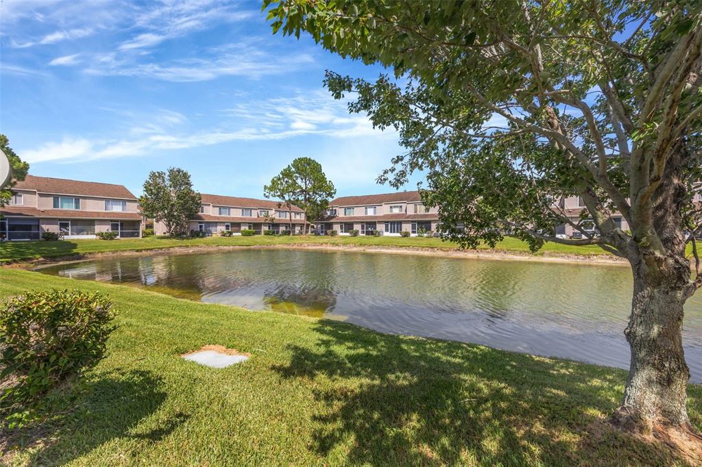A pond sits in front of multi-story apartment buildings under a blue sky — 6127 BAYSIDE KEY DRIVE, TAMPA, FL