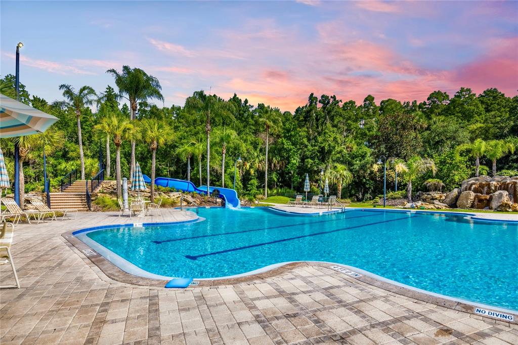 A large swimming pool with a blue slide and stone patio surrounded by palm trees — 5125 PALM SPRINGS BOULEVARD UNIT 1204, TAMPA, FL