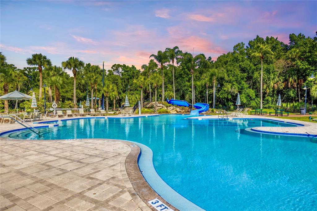 A large outdoor swimming pool with a blue slide and palm trees at sunset — 5125 PALM SPRINGS BOULEVARD UNIT 1204, TAMPA, FL