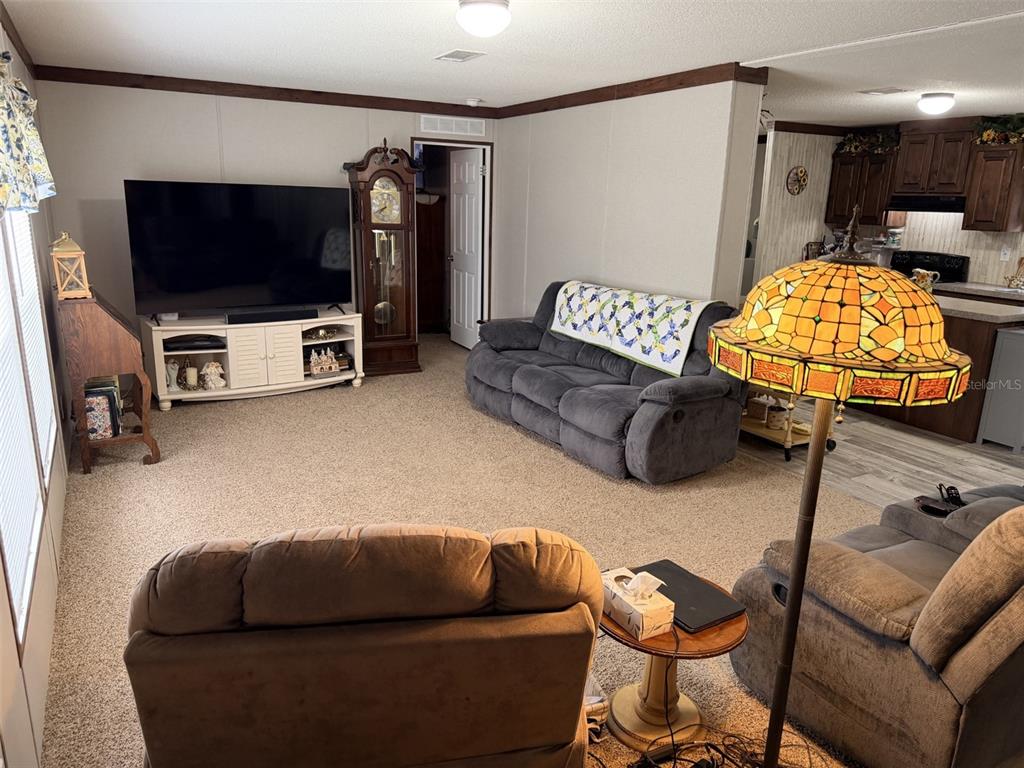 A living room features carpeted flooring, a large television, a grandfather clock, and two sofas — 279 NE 576TH STREET, OLD TOWN, FL
