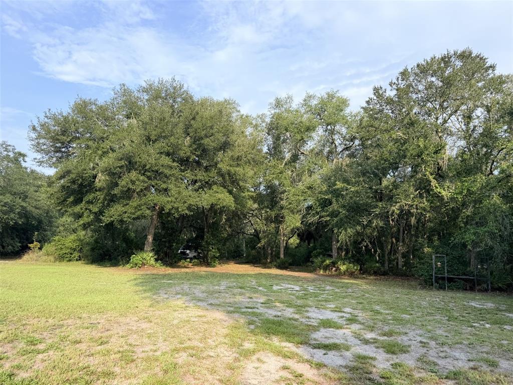 A grassy yard leads to a dense line of mature trees and foliage — 279 NE 576TH STREET, OLD TOWN, FL