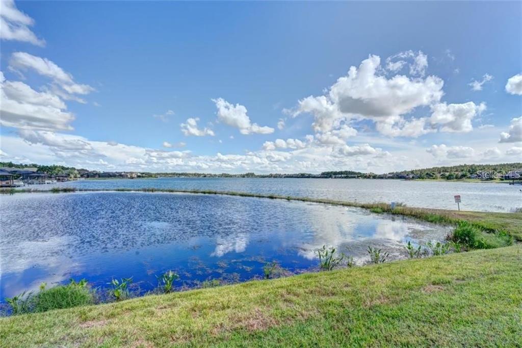 16215 IVY LAKE DRIVE, ODESSA, FL — photo 4 of 30