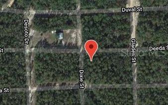 This is a satellite map view showing a vacant, wooded lot marked by a red pin — 301 DEEDA STREET, FLORAHOME, FL