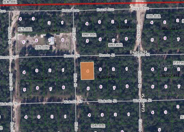 This is a satellite map showing a highlighted rectangular lot in a wooded residential area — 301 DEEDA STREET, FLORAHOME, FL