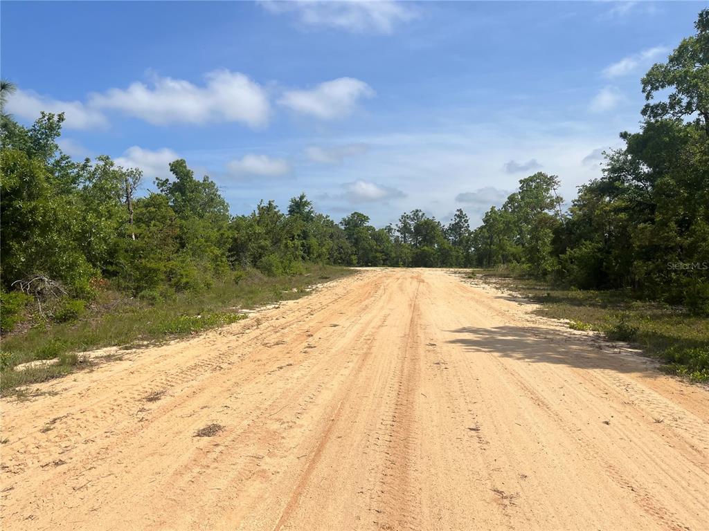 A dirt road stretches through a wooded area under a blue sky with clouds — ROME AVENUE, ALFORD, FL
