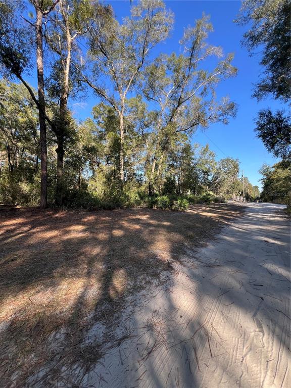 TBD SE 179TH PLACE, SUMMERFIELD, FL — photo 2 of 5