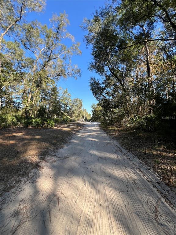 TBD SE 179TH PLACE, SUMMERFIELD, FL — photo 3 of 5