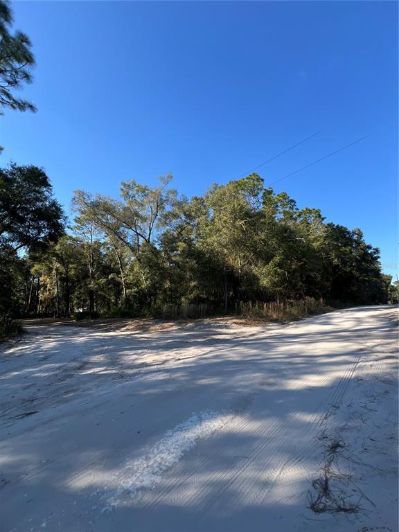 TBD SE 179TH PLACE, SUMMERFIELD, FL — photo 5 of 5