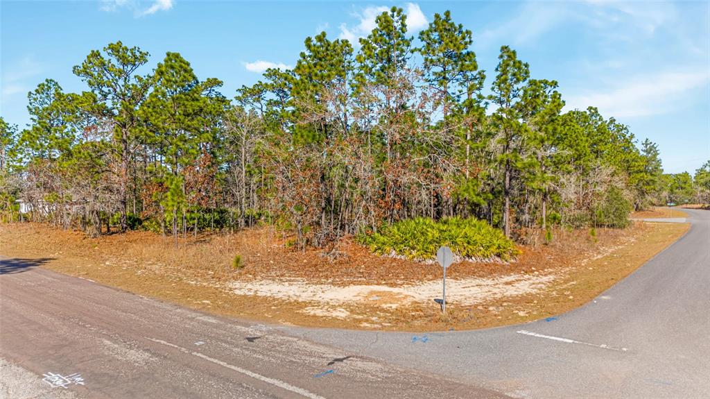 A vacant, wooded corner lot sits at the intersection of two paved roads — 6932 N GLENRIDGE CIRCLE, CITRUS SPRINGS, FL