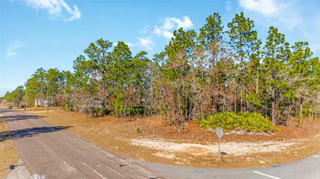 A paved road curves past a vacant, wooded lot with pine trees and palmetto bushes — 6932 N GLENRIDGE CIRCLE, CITRUS SPRINGS, FL