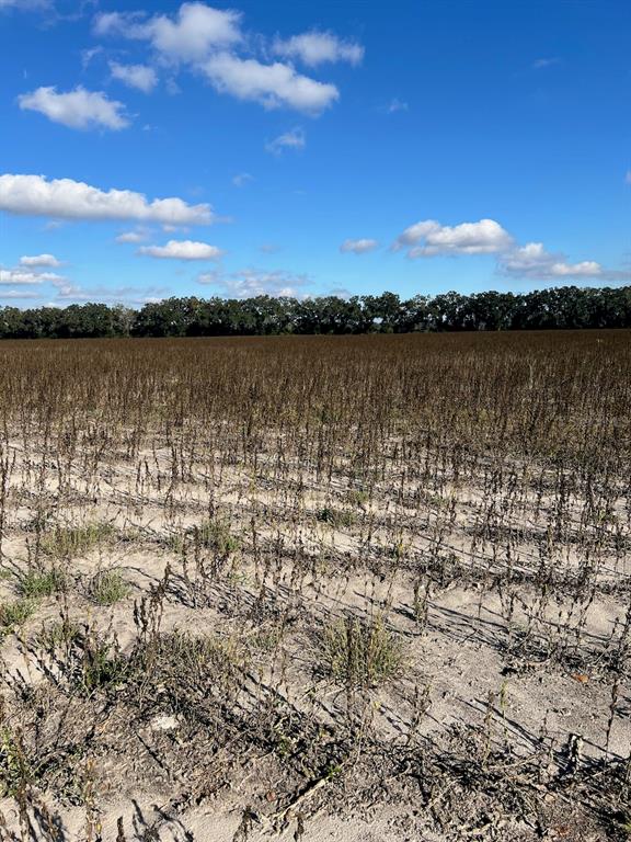 A large, harvested agricultural field under a bright blue sky with scattered clouds — TBD N BRONSON AVENUE, TRENTON, FL