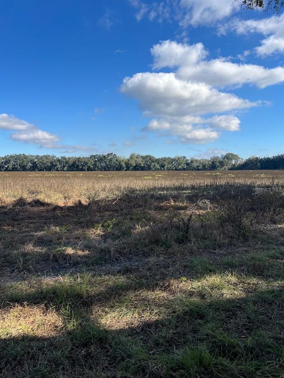 A large, flat, open field under a blue sky with scattered clouds — TBD N BRONSON AVENUE, TRENTON, FL