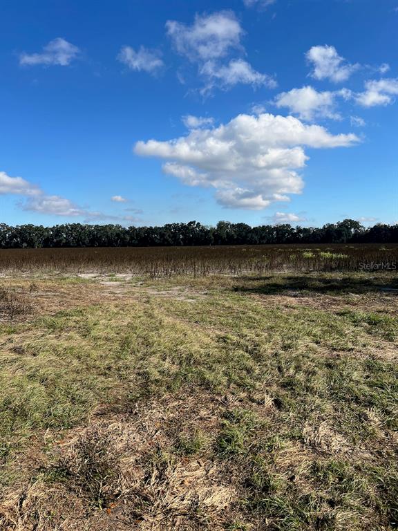 A wide, grassy field stretches toward a distant line of trees under a blue sky — TBD N BRONSON AVENUE, TRENTON, FL