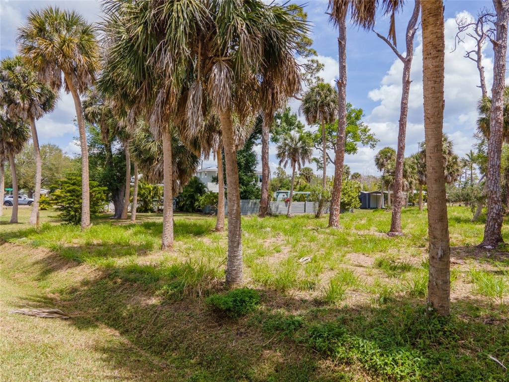A grassy, tree-filled lot with several palm trees under a blue sky with clouds — W COWLES STREET, ENGLEWOOD, FL