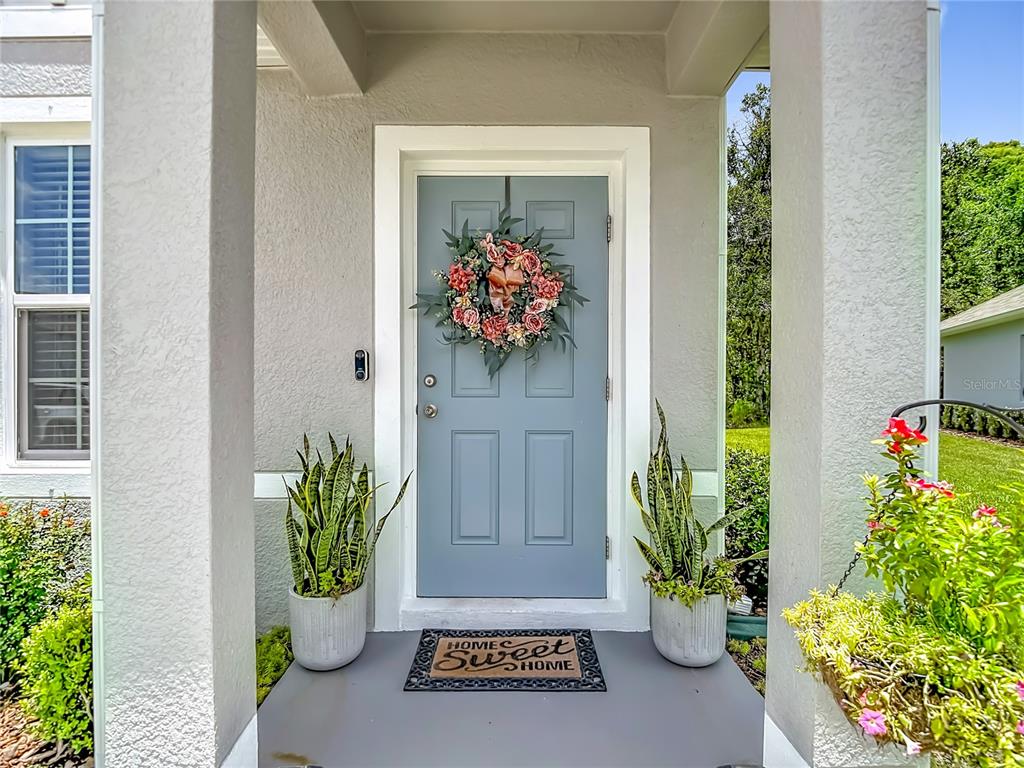 A light blue front door with a floral wreath is flanked by two potted plants — 11994 GRIZZLY LANE, NEW PORT RICHEY, FL