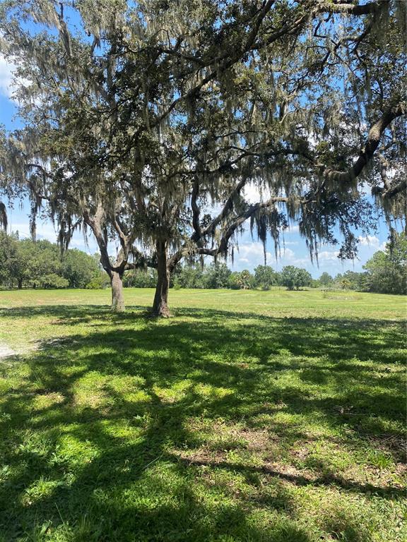 A large, grassy field features two mature oak trees draped in Spanish moss — 7505 274TH STREET E, MYAKKA CITY, FL