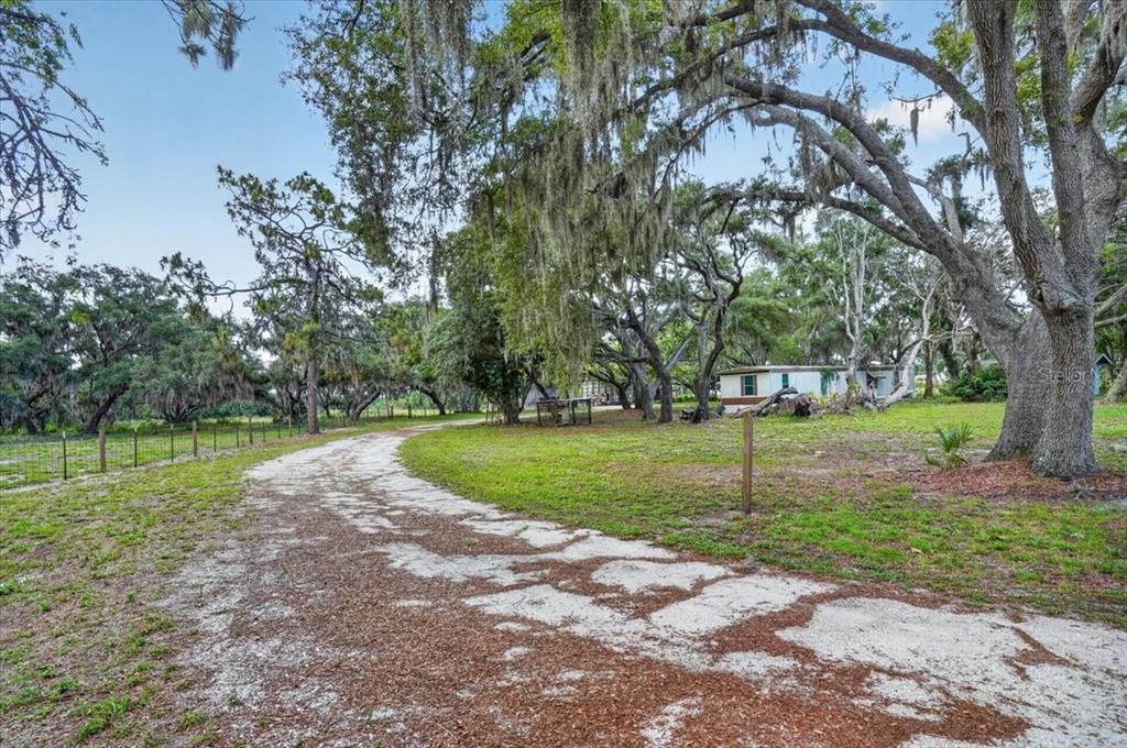A dirt driveway curves through a grassy yard toward a small house under large trees — 7505 274TH STREET E, MYAKKA CITY, FL