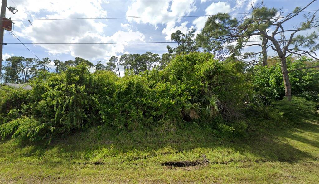 A dense, overgrown lot filled with thick green shrubs and trees under a cloudy sky — 4481 SPIRE STREET, PORT CHARLOTTE, FL