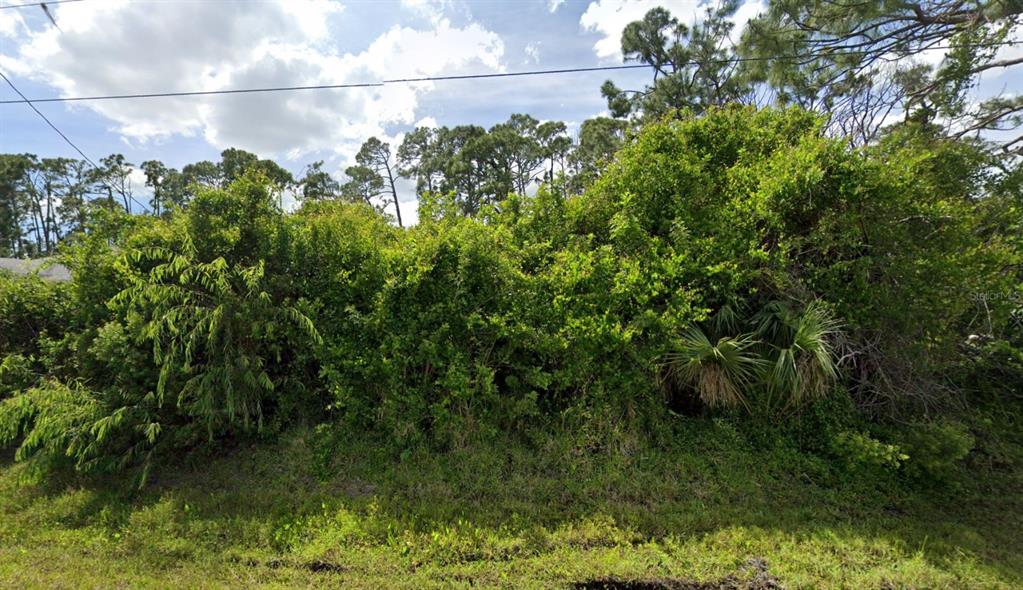 A dense thicket of green trees and shrubs grows on a grassy, undeveloped lot — 4481 SPIRE STREET, PORT CHARLOTTE, FL
