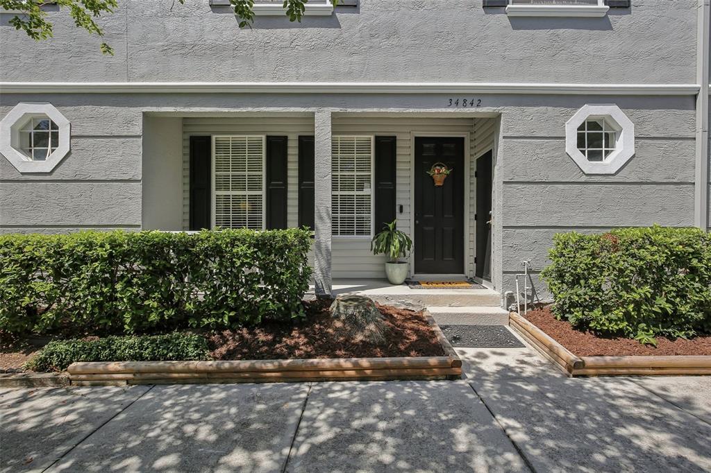 A gray townhouse exterior features a black front door, two windows with shutters, and landscaping — 34842 TEEVIEW LANE, ZEPHYRHILLS, FL