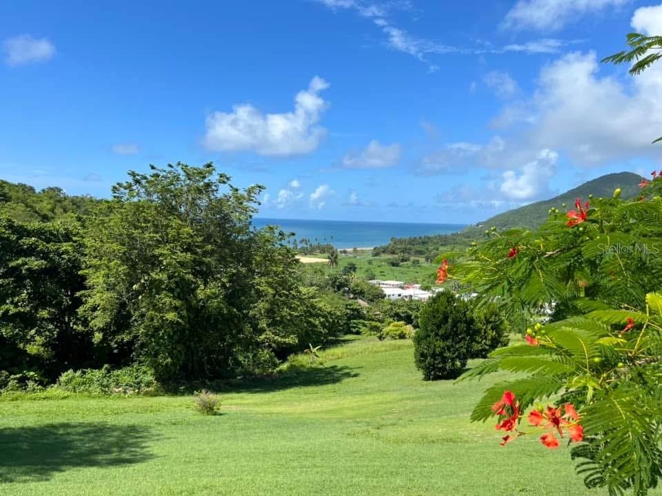 A grassy hillside overlooks a coastal landscape with trees, buildings, and the ocean — 901 AMAZING VIEW HOUSE, MAUNABO, PR