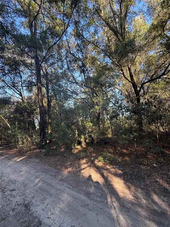 A dirt road runs alongside a wooded lot filled with mature trees and dense undergrowth — SW 148TH CT 32 ND PLACE, OCALA, FL