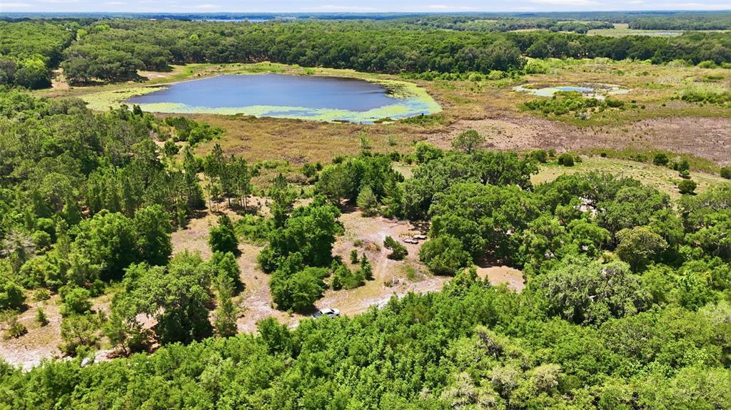An aerial view of a rural property featuring a pond, dense trees, and open land — 16050 SE 275TH AVENUE, UMATILLA, FL