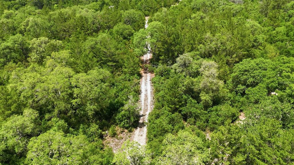 An aerial view shows a narrow dirt path winding through a dense, green wooded area — 16050 SE 275TH AVENUE, UMATILLA, FL