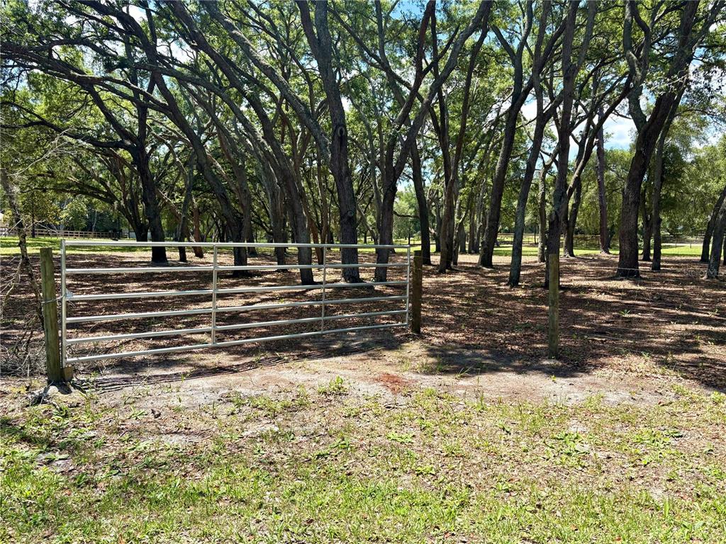 A metal gate stands at the entrance to a wooded area with mature trees — 390 FOOTHILL FARMS ROAD, ORANGE CITY, FL
