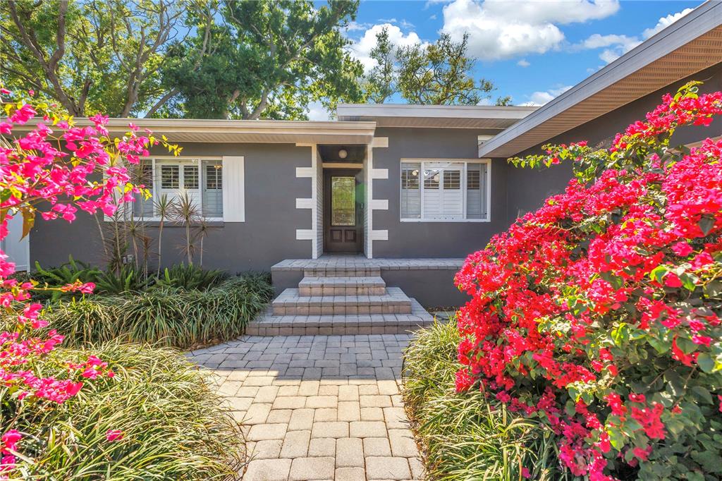 A gray house exterior features a stone walkway, steps, and vibrant pink bougainvillea bushes — 209 BANDERA WAY NE, ST PETERSBURG, FL