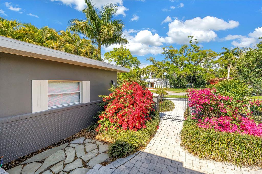 A stone walkway leads to a gated entrance flanked by vibrant bougainvillea bushes — 209 BANDERA WAY NE, ST PETERSBURG, FL